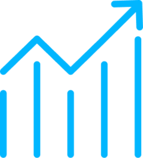 Carinvest • Capitalisation